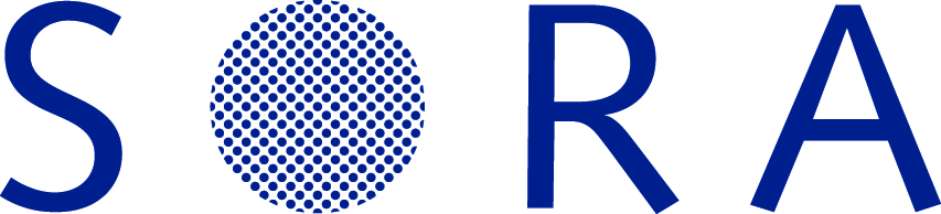 SORA Institute for Social Research and Consulting